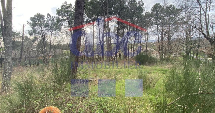 vente Terrain à aménager Montans