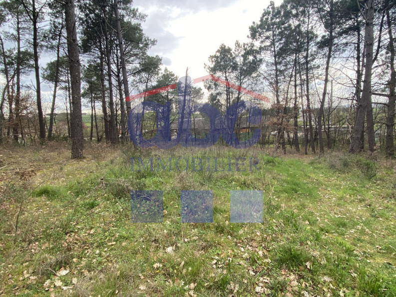 vente Terrain à aménager Montans - Photo 3