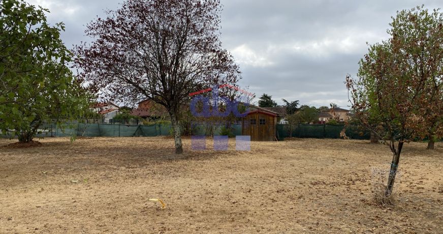 vente Terrain constructible Montans