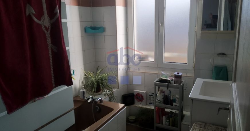 location Appartement Carmaux