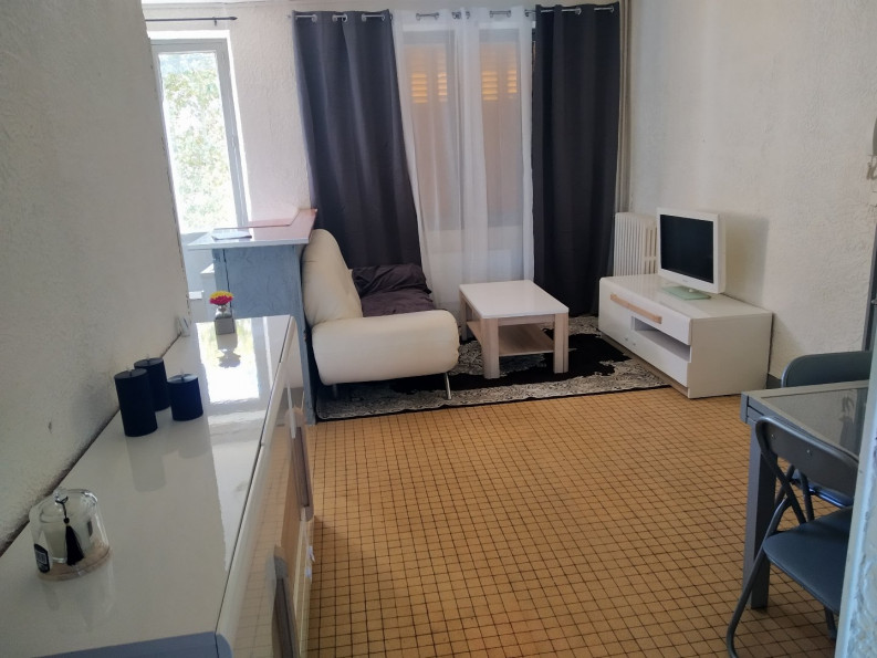 location Appartement Carmaux - Photo 2