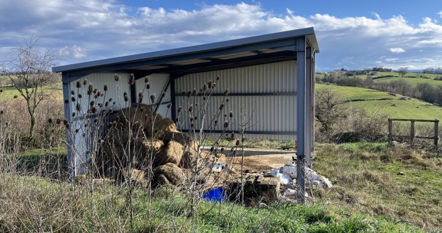 vente Maison Monesties