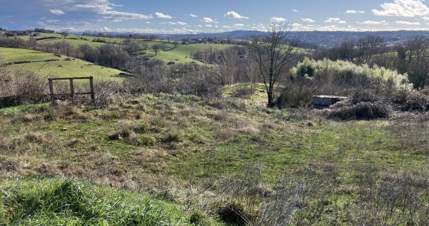 vente Maison Monesties