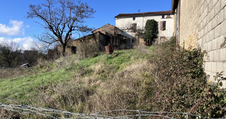 vente Maison Monesties