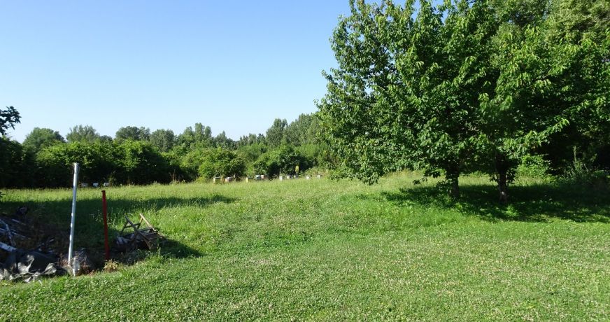 vente Terrain constructible Arthes