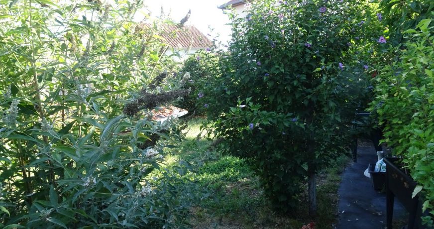 vente Maison Carmaux