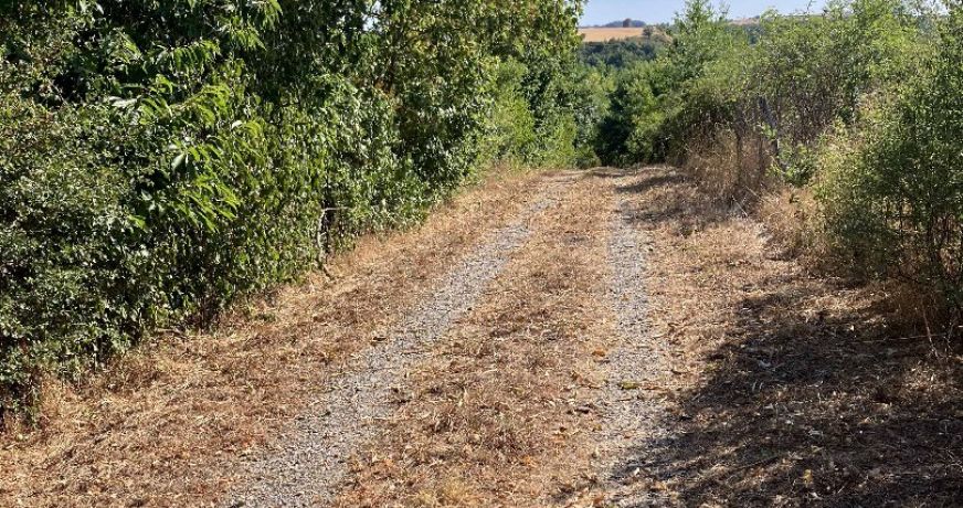 vente Terrain agricole Saint Jean De Marcel