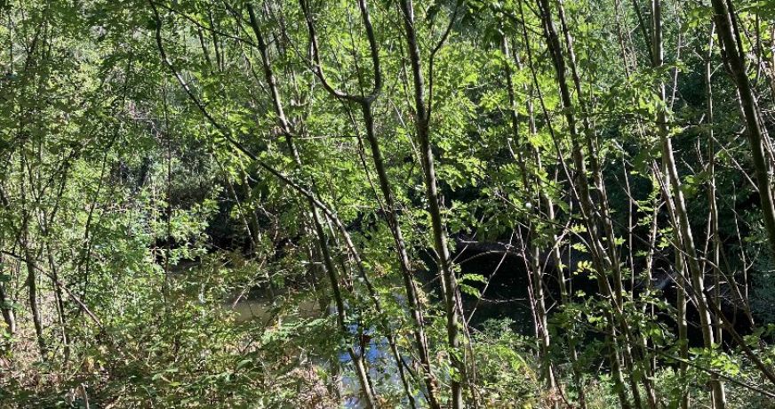 vente Terrain agricole Saint Jean De Marcel