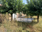 vente Maison Carmaux