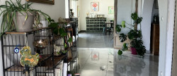 vente Maison Labastide Gabausse