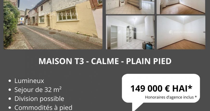 vente Maison Verfeil