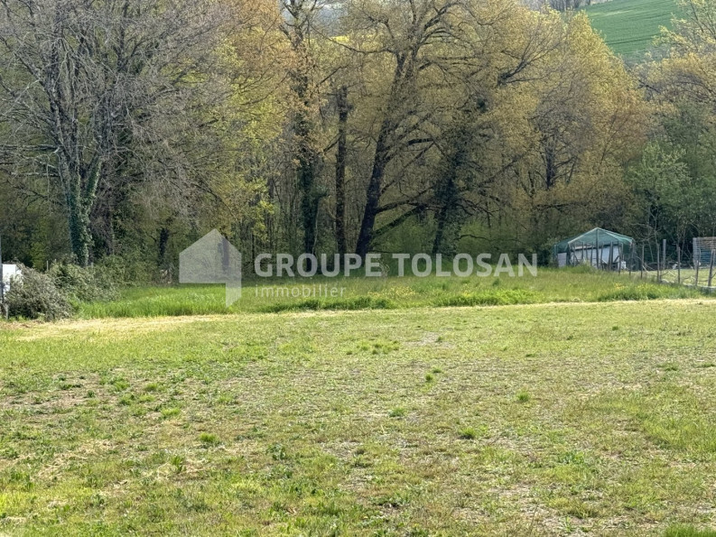 vente Terrain Rabastens - Photo 1