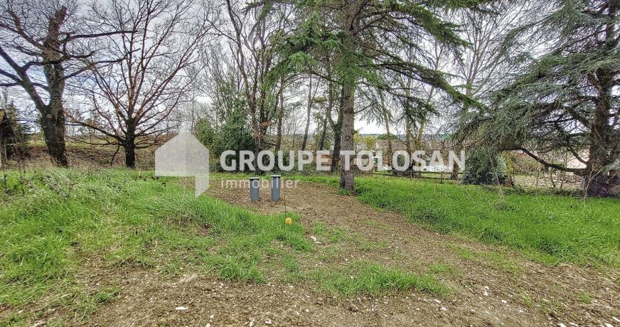 vente Terrain Montrabe