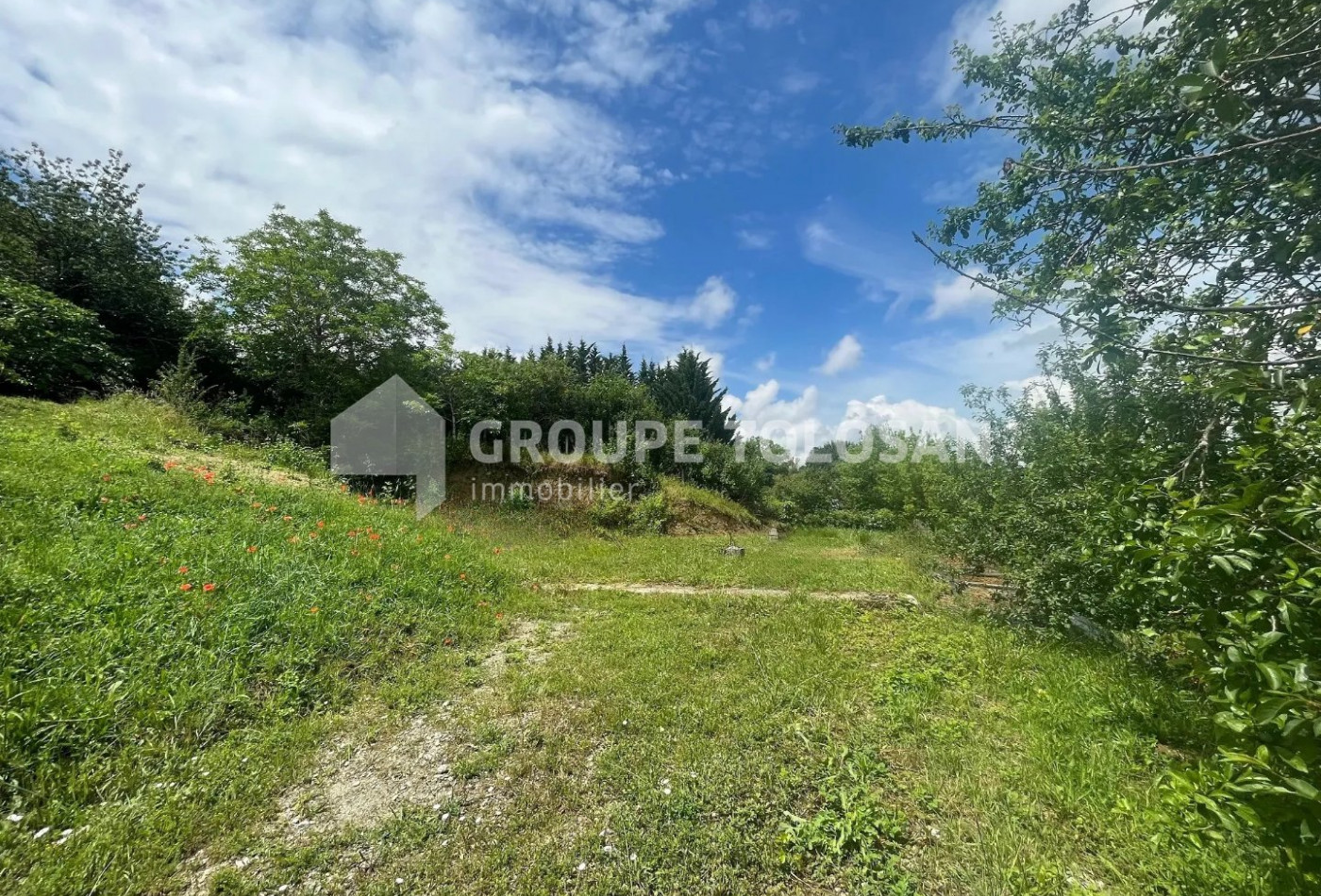vente Terrain Montastruc-la-conseillere - Photo 3