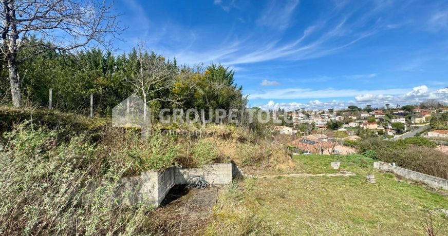 vente Terrain Montastruc-la-conseillere