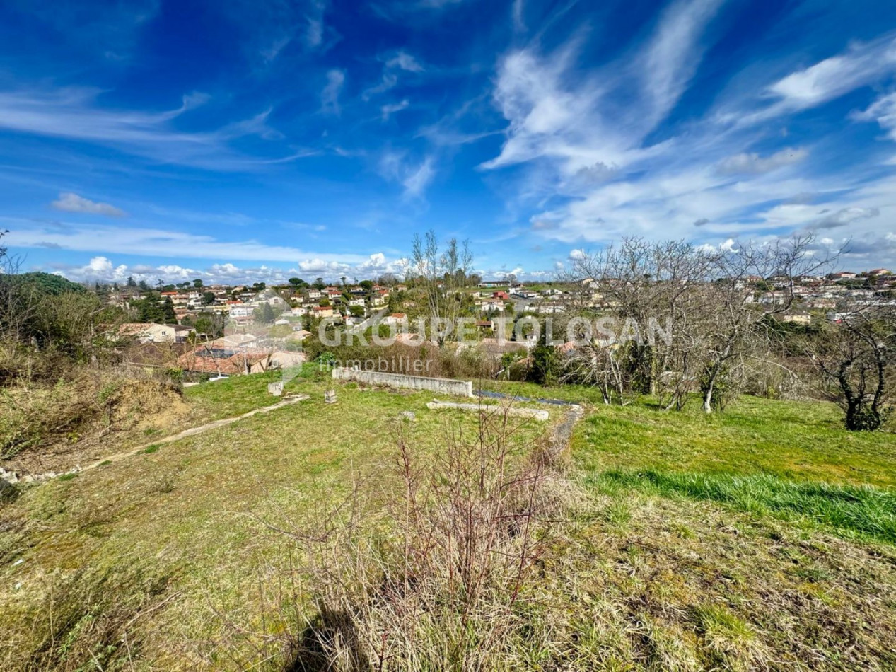 vente Terrain Montastruc-la-conseillere - Photo 1