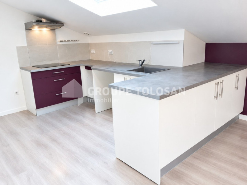 location Appartement Saint-jean - Photo 1
