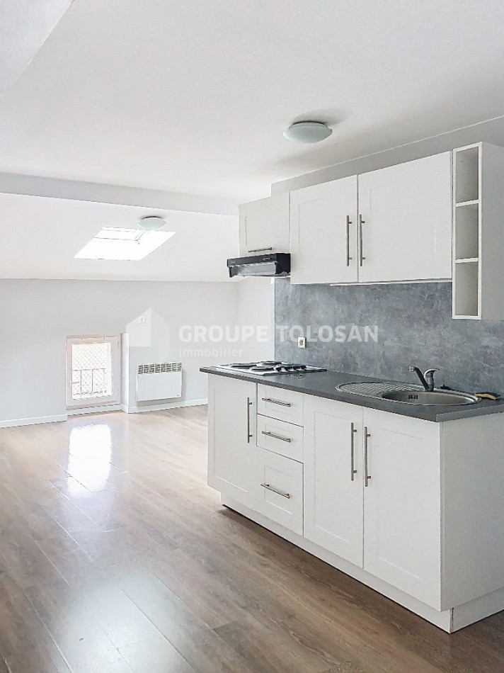 location Appartement Toulouse - Photo 1