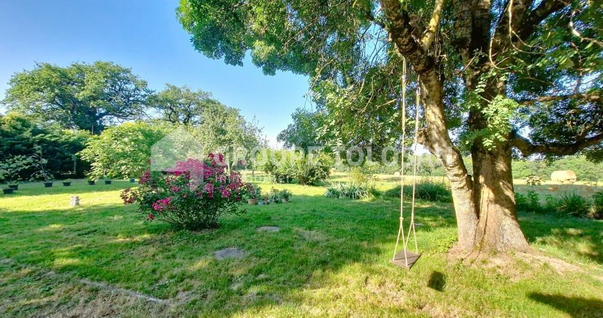 location Maison Montrabe