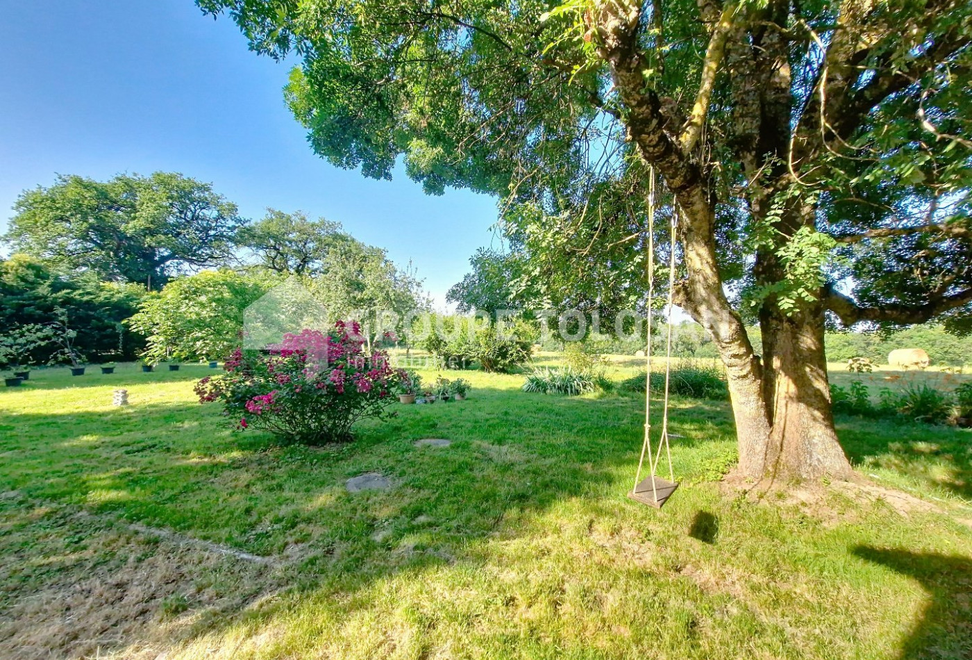 location Maison Montrabe - Photo 3