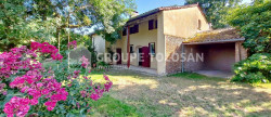 location Maison Montrabe