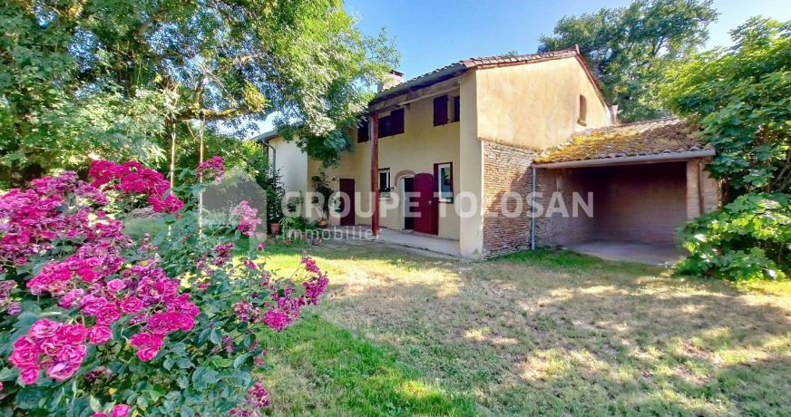 location Maison Montrabe