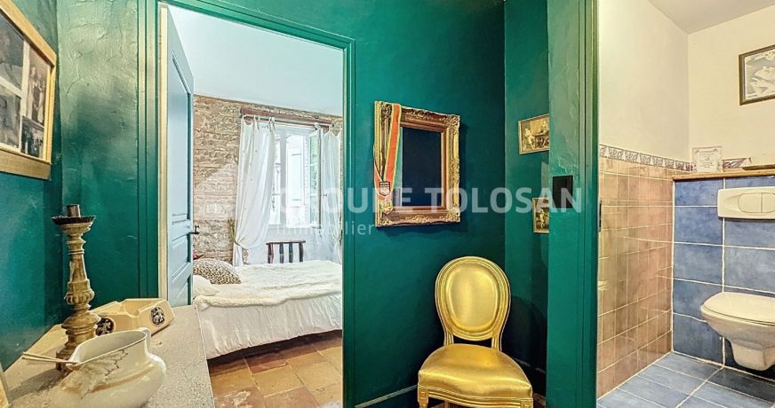 vente Maison de maître Gaillac