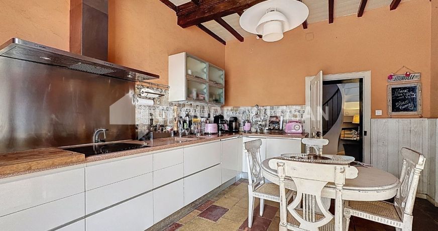 vente Maison de maître Rabastens