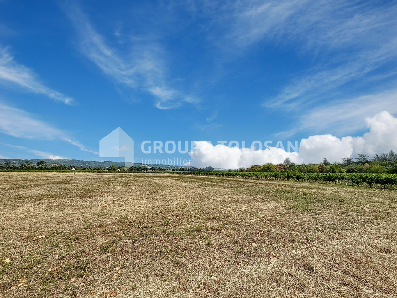 vente Maison de maître Rabastens - Photo 20