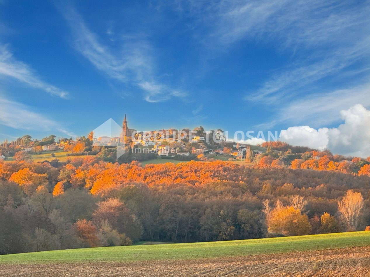 vente Maison Montastruc-la-conseillere - Photo 14