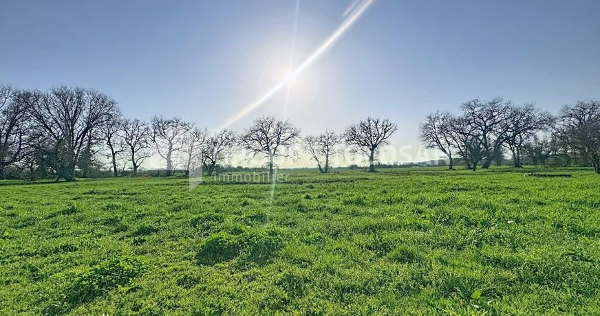 vente Ferme Saint-sulpice-la-pointe