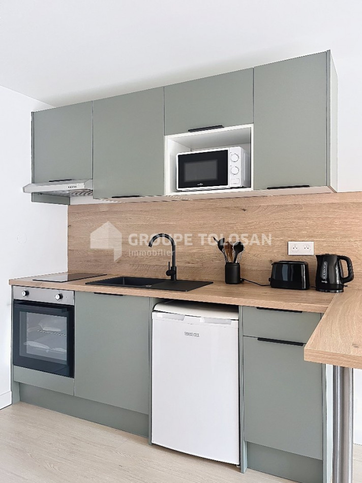 location Appartement Toulouse - Photo 2