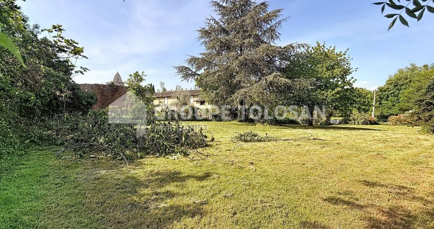vente Terrain Montrabe