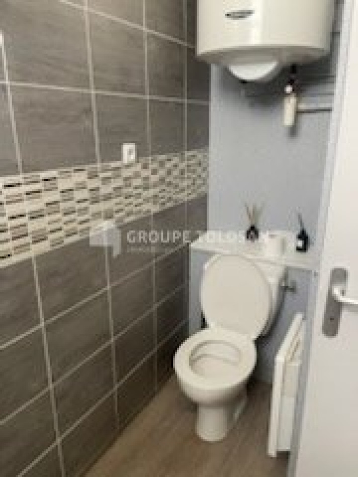 location Appartement Toulouse - Photo 7