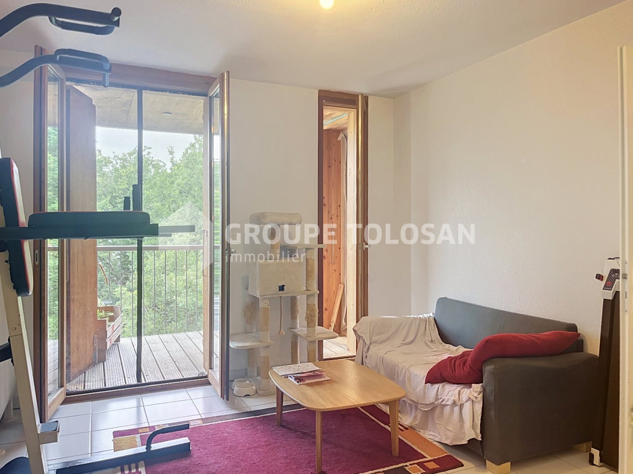 location Appartement Cornebarrieu - Photo 1