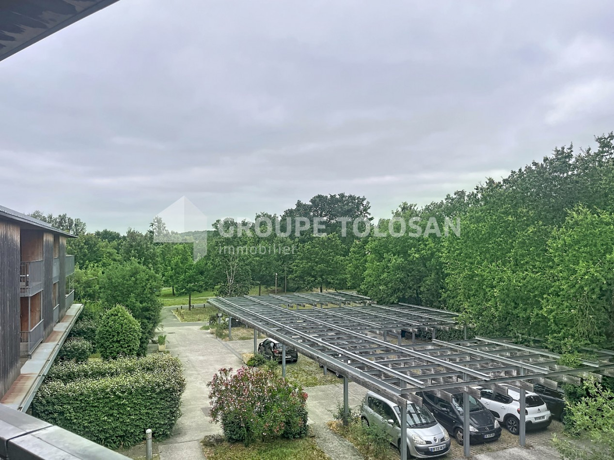 location Appartement Cornebarrieu - Photo 6