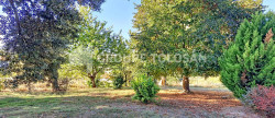 location Maison Gemil