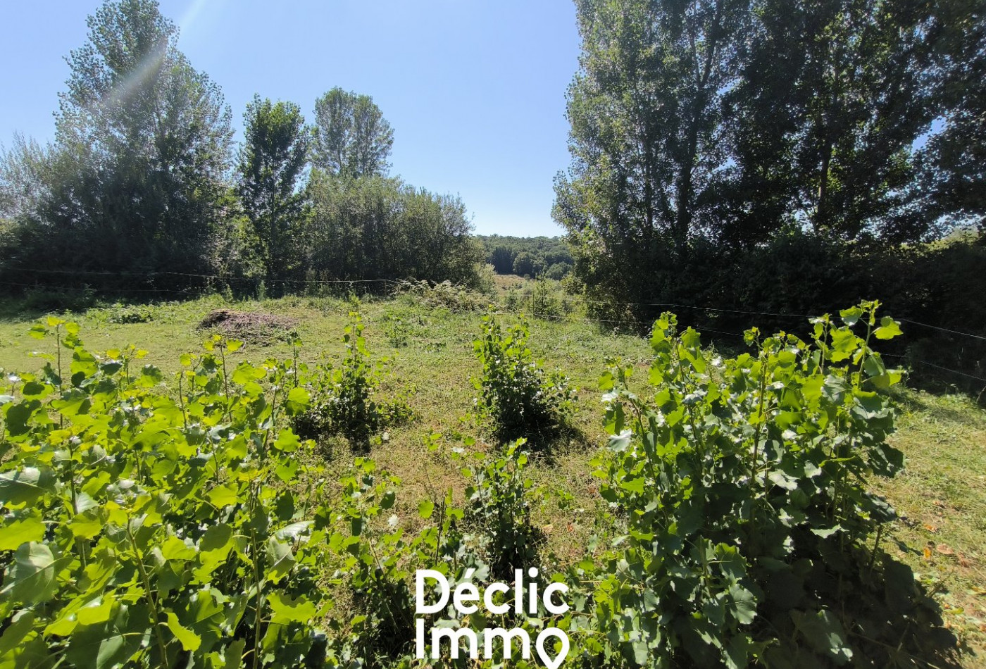 vente Maison La Salvetat Belmontet - Photo 3