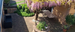 vente Maison et dépendances Saint-sulpice-la-pointe