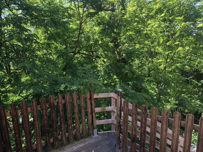 vente Maison de ville Gaillac - Photo 3