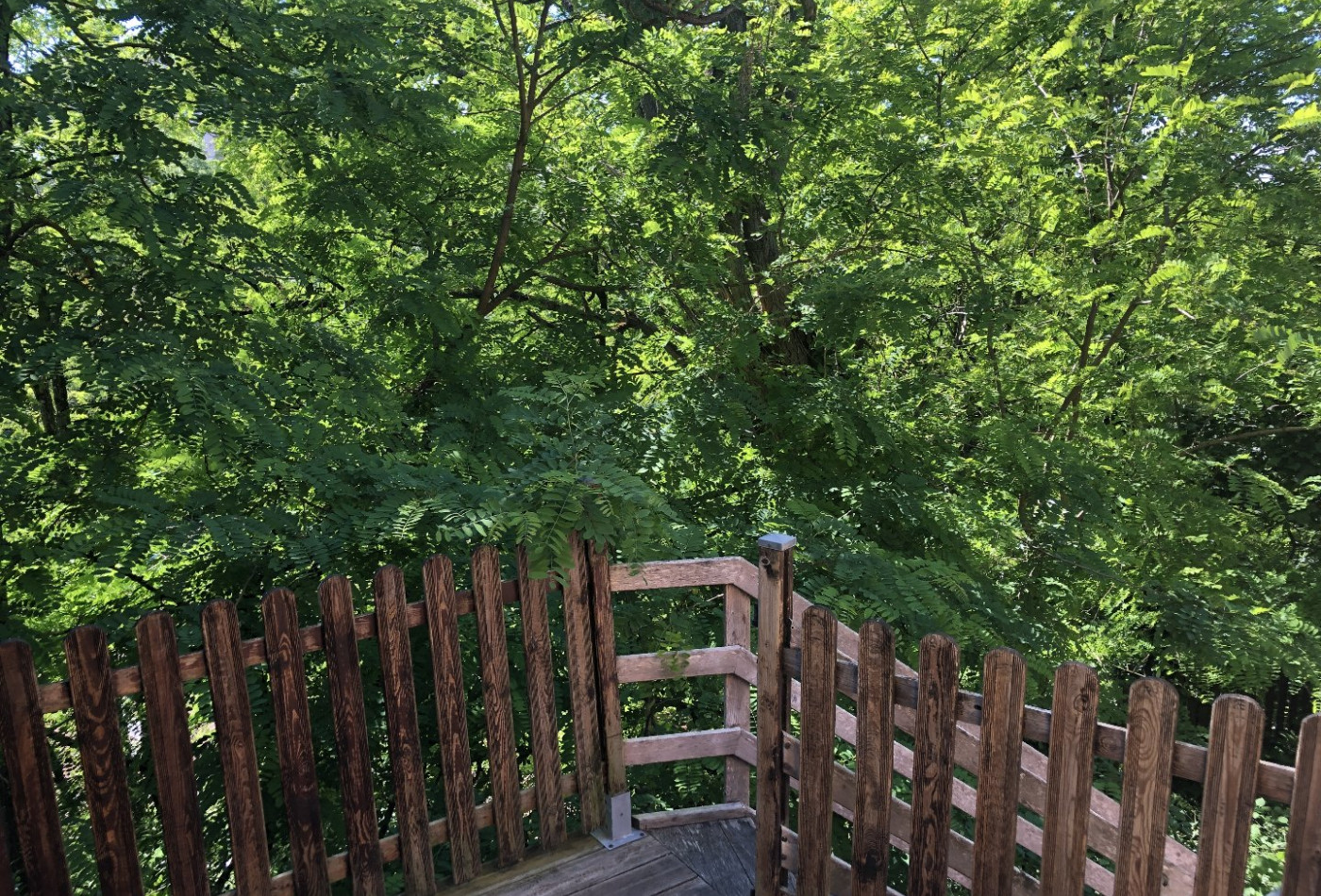 vente Maison de ville Gaillac - Photo 3