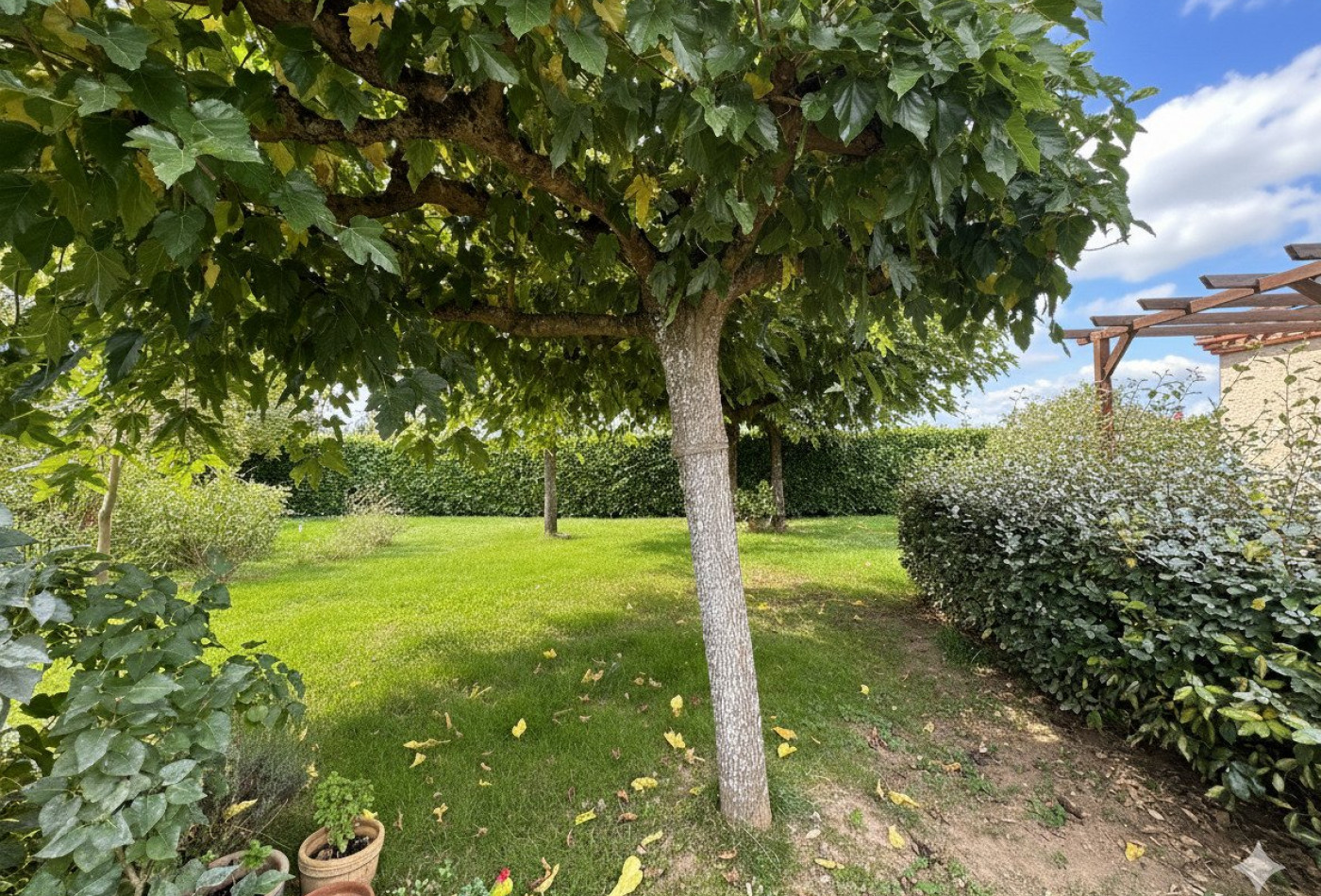 vente Ateliers et bureaux Gaillac - Photo 6