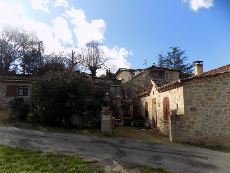 vente Maison Puycelsi - Photo 4