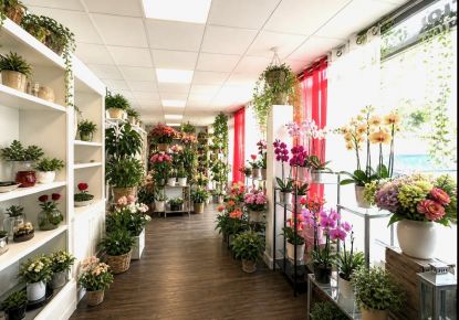 vente Fleuriste Ardentes