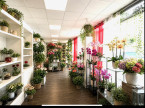 vente Fleuriste Ardentes