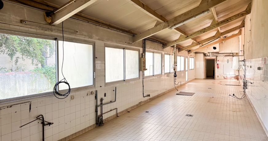 vente Maison Albi