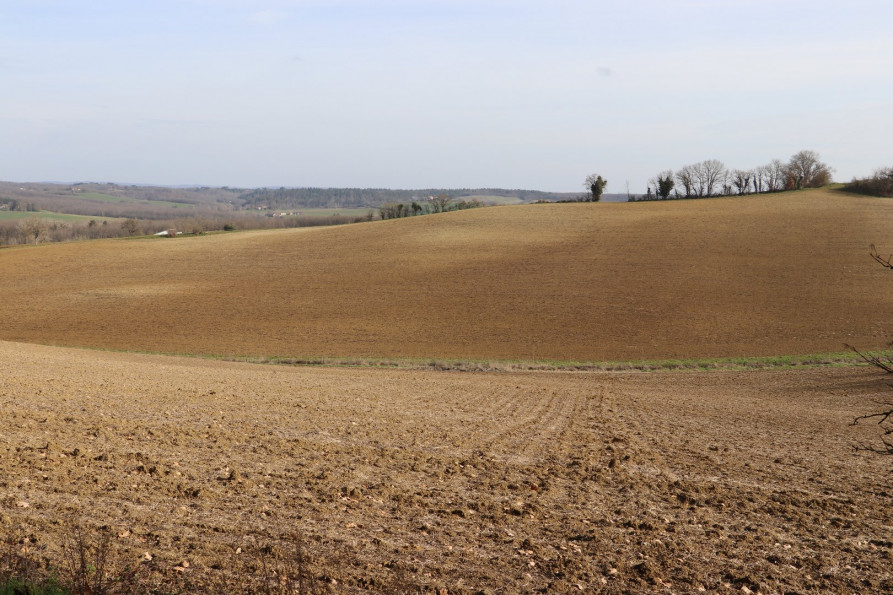 vente Maison Salvagnac - Photo 3