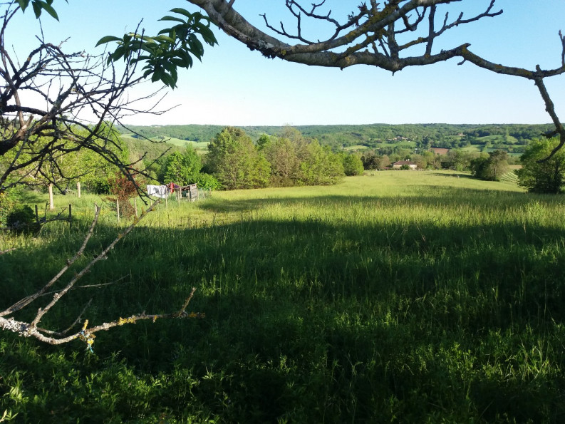 vente Terrain à aménager Puycelsi - Photo 1