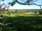 vente Terrain à aménager Puycelsi