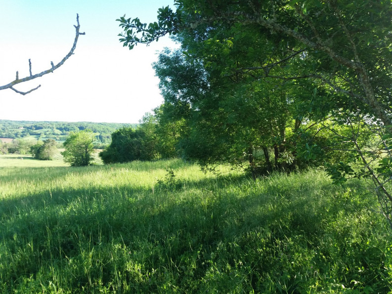 vente Terrain à aménager Puycelsi - Photo 2